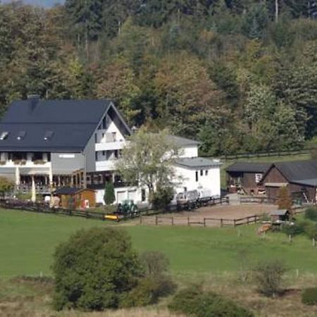 Ginsberger Heide Hotell Hilchenbach Rum bild